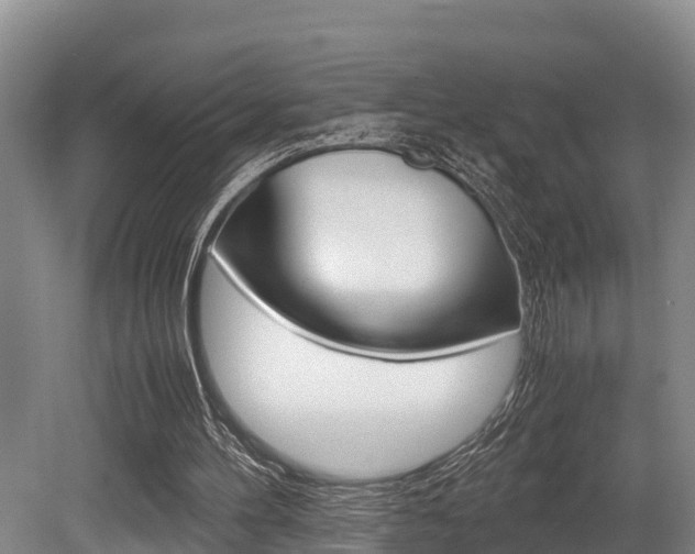 X0000079300100200611170839