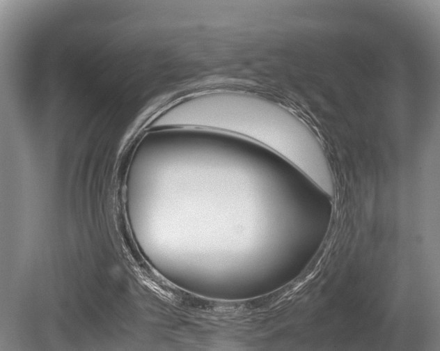X0000079300101200611170839