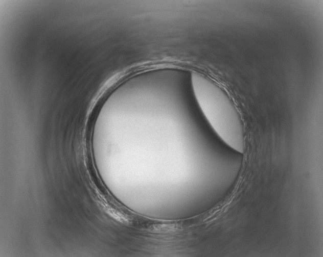 X0000079300102200611170839