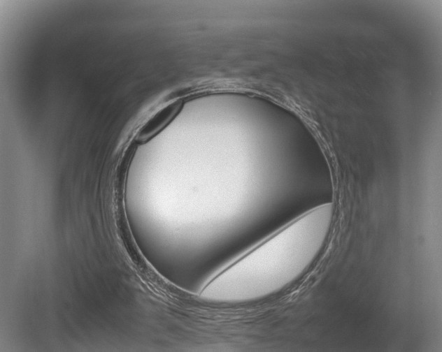 X0000079300103200611170839