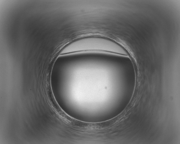 X0000079300105200611170839