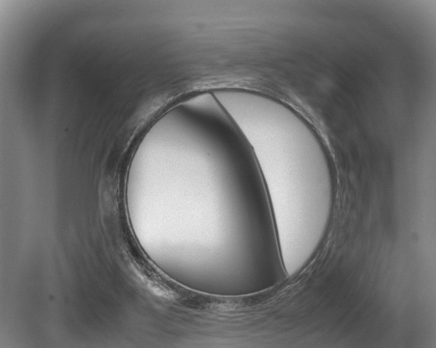 X0000079300107200611170839