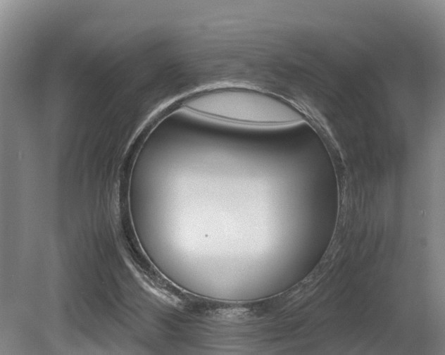 X0000079300108200611170839