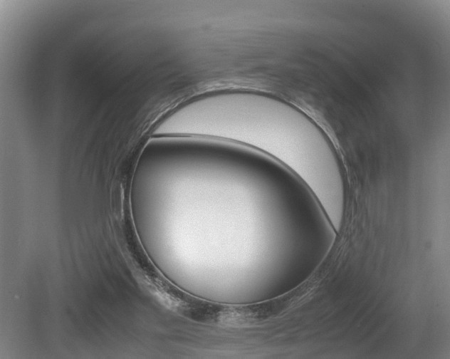 X0000079300109200611170839