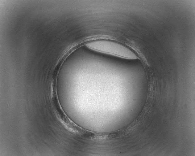 X0000079300110200611170839