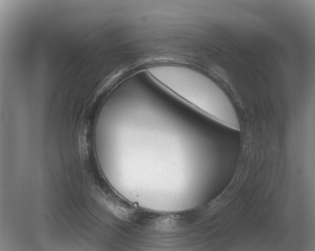 X0000079300116200611170839
