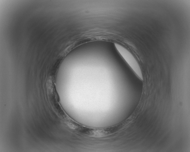 X0000079300121200611170839
