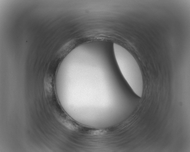 X0000079300122200611170839