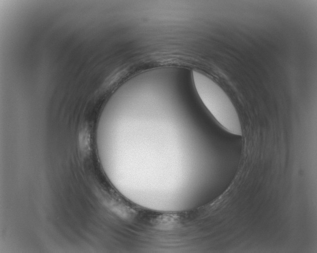 X0000079300124200611170839