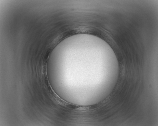 X0000079300126200611170839
