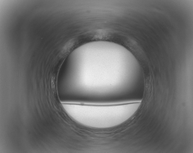 X0000079300127200611170839