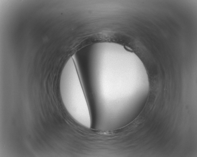 X0000079300131200611170839