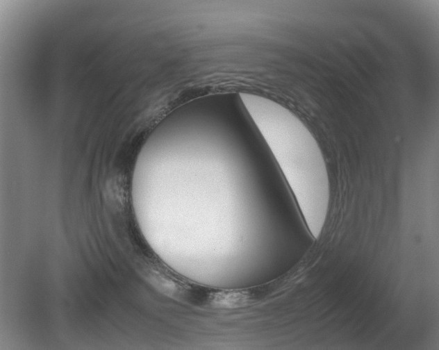 X0000079300135200611170839
