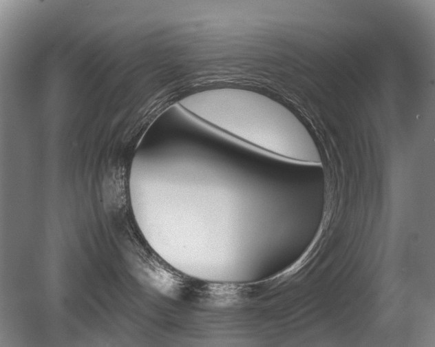 X0000079300144200611170838