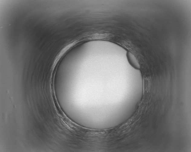 X0000079300147200611170838