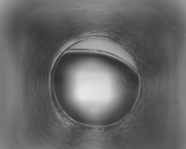 X0000079300148200611170838