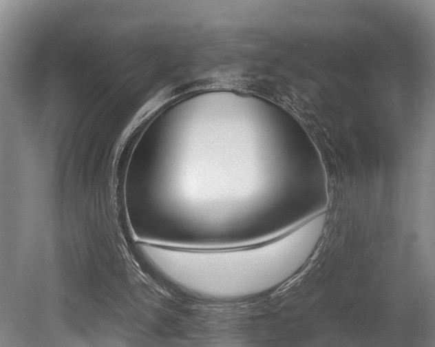 X0000079300150200611170838