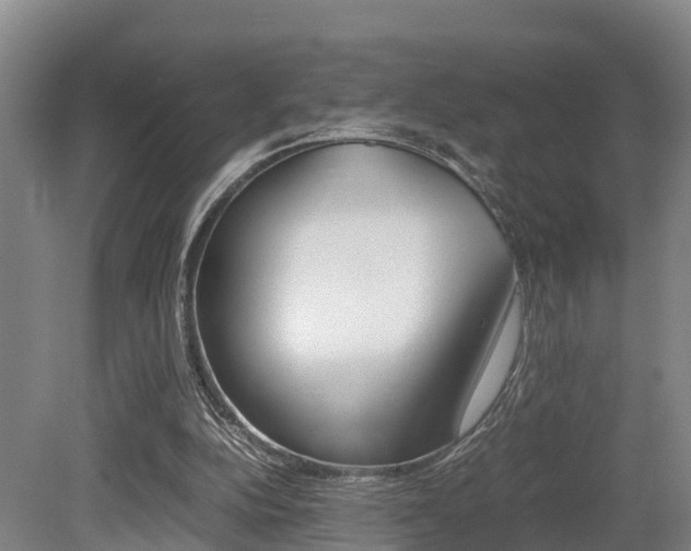 X0000079300152200611170838