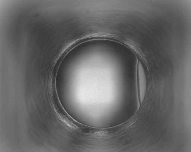 X0000079300156200611170838