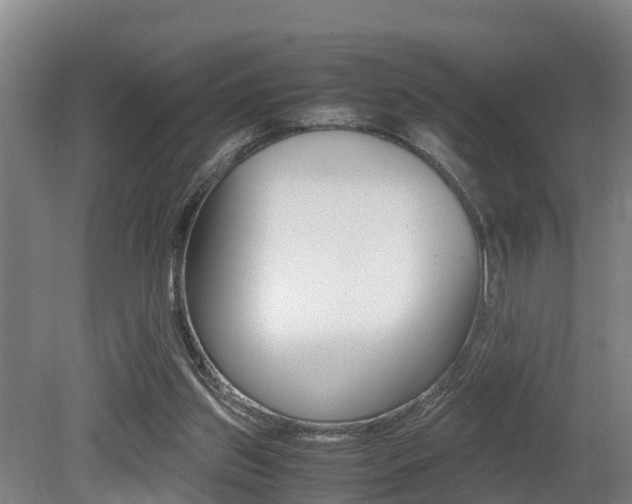 X0000079300157200611170838