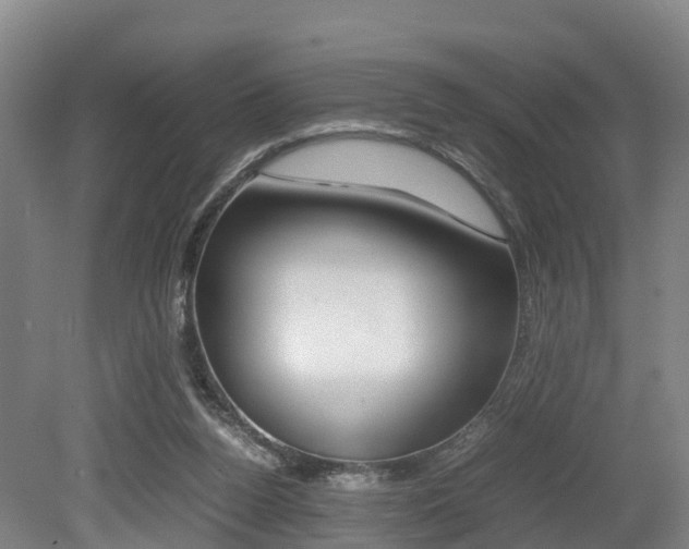 X0000079300160200611170838