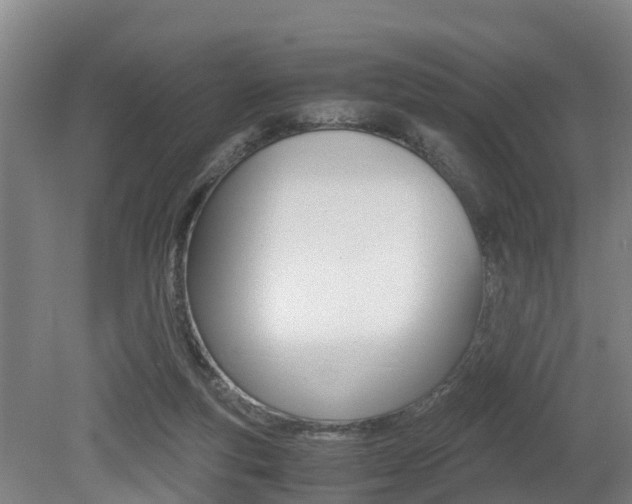 X0000079300163200611170838