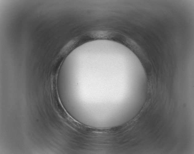 X0000079300167200611170838