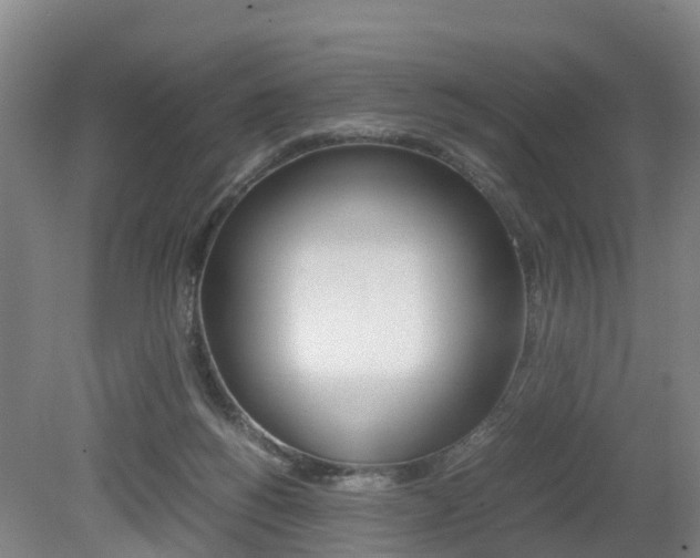 X0000079300168200611170838