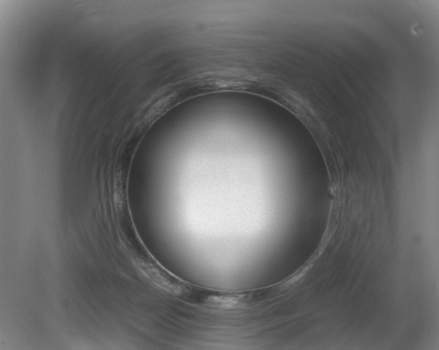 X0000079300170200611170838
