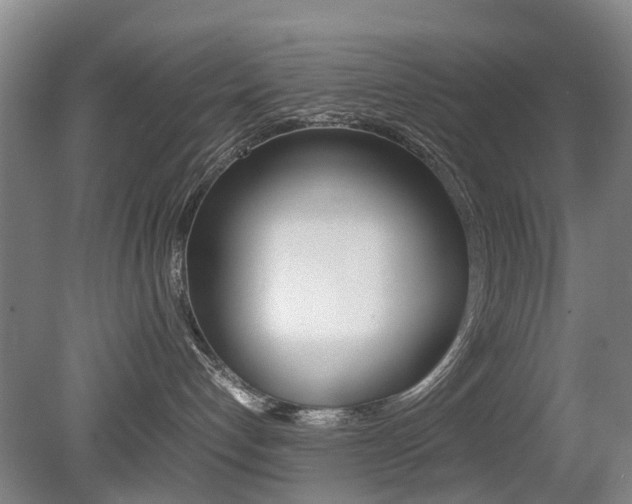 X0000079300192200611170838