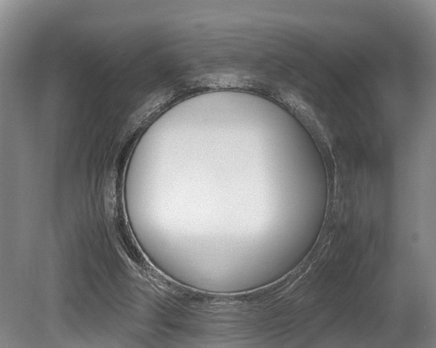 X0000079300202200611170837