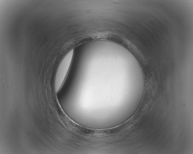 X0000079300209200611170837