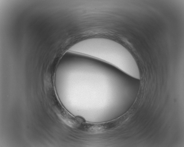 X0000079300213200611170837