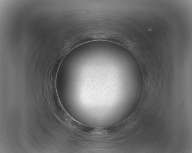 X0000079300215200611170837