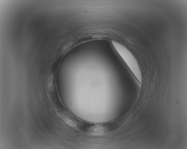 X0000079300219200611170837