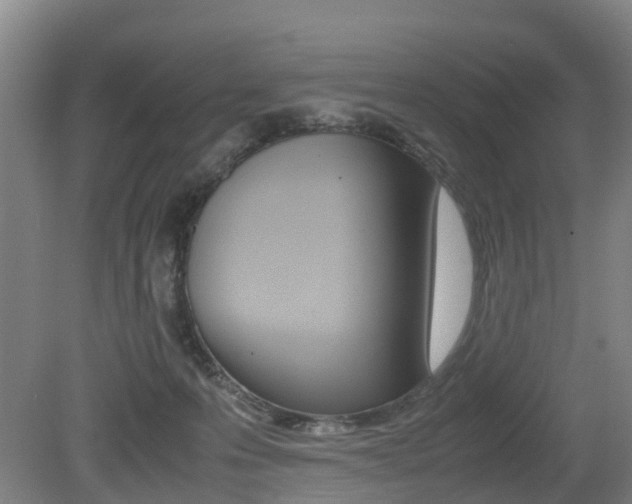 X0000079300223200611170837