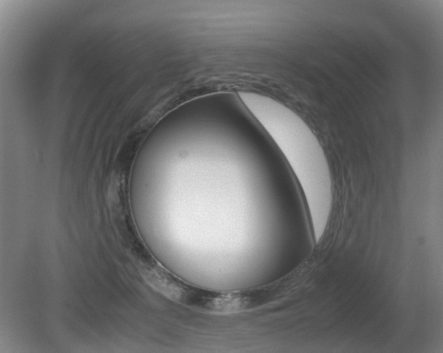 X0000079300225200611170837