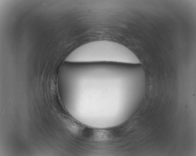 X0000079300226200611170837