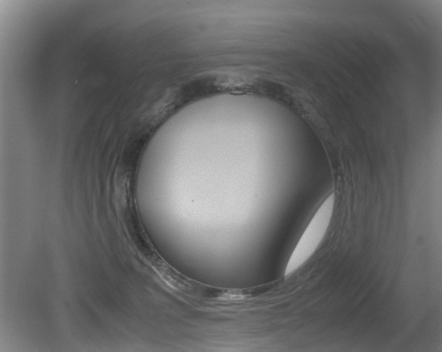 X0000079300227200611170837