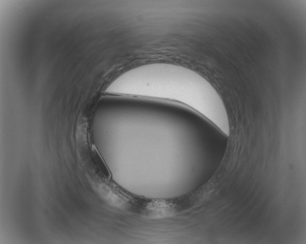 X0000079300231200611170837