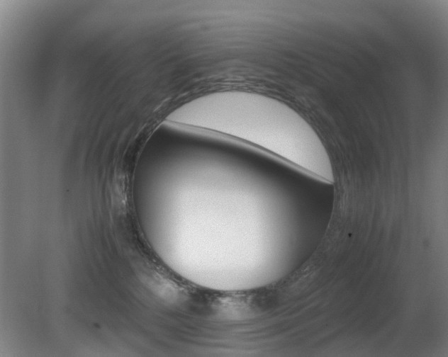 X0000079300232200611170837
