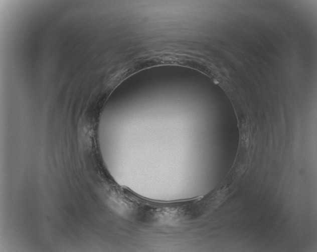 X0000079300235200611170837