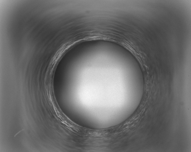 X0000079300241200611170836