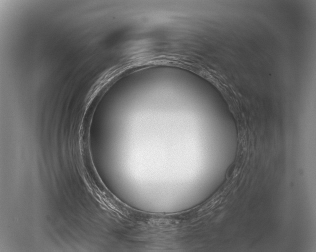 X0000079300242200611170836