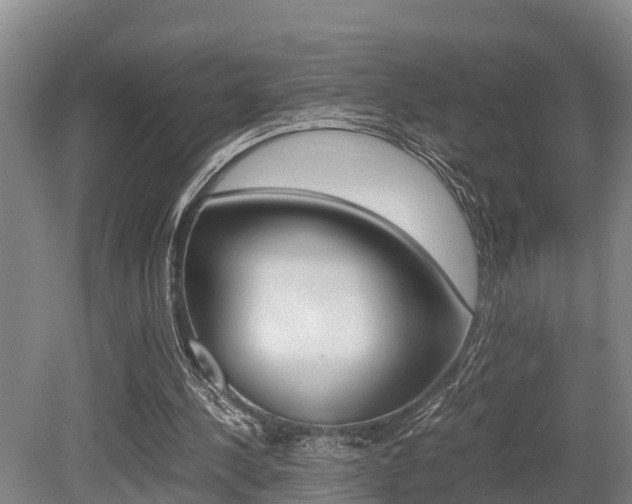 X0000079300244200611170836