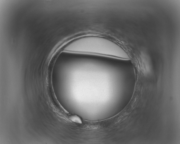 X0000079300247200611170836