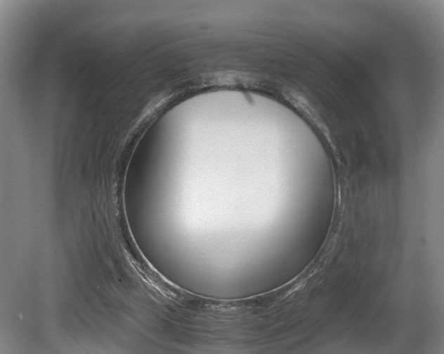X0000079300249200611170836