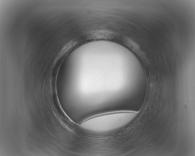 X0000079300250200611170836