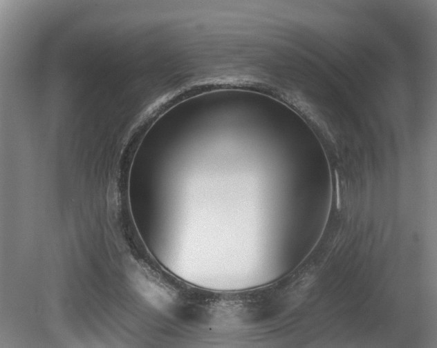 X0000079300252200611170836