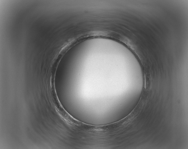X0000079300253200611170836